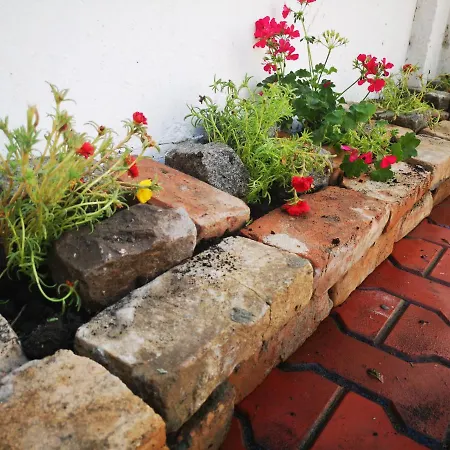 Casa Fotografului Marines *