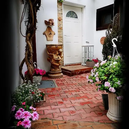 Casa Fotografului Marines * Констанца