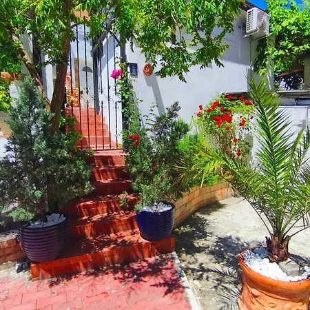 Casa Fotografului Marines Apartamento
