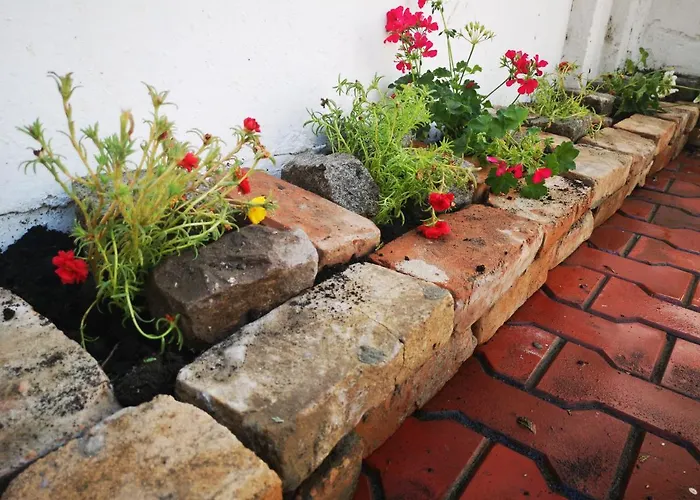 Casa Fotografului Marines *