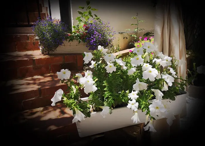 Casa Fotografului Marines * Constanţa